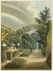 Sonnenschein nach Regen, aus 